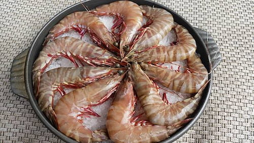 خرید ویژه میگو سرتیز